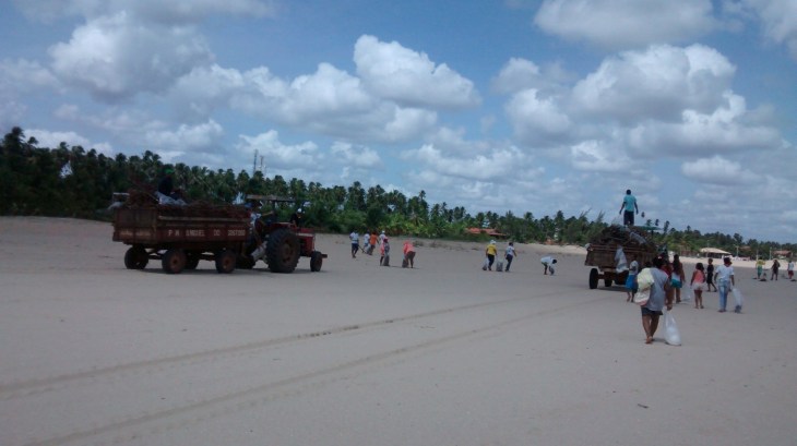 Tratores acompanharam o mutirão.