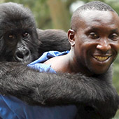 VIRUNGA