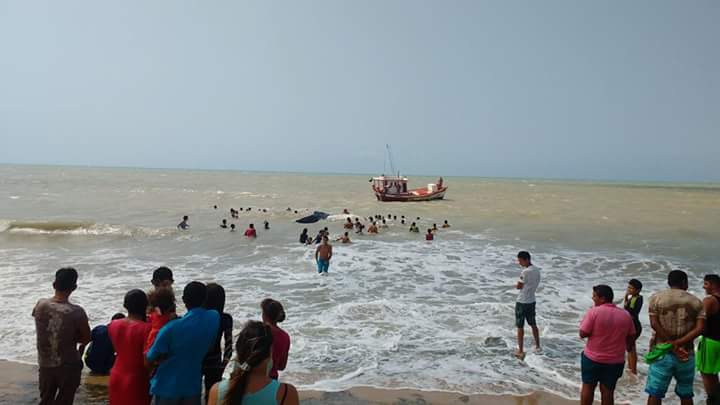 BALEIA JUBARTE NO MAR