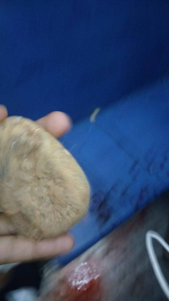 16651529_1254001928003056_1417706113_o