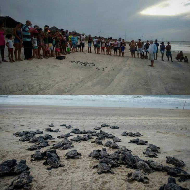 16729555_1579414608754825_7835153287701151063_n