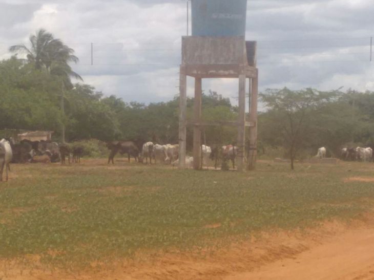 WhatsApp Image 2017-03-14 at 20.00.04