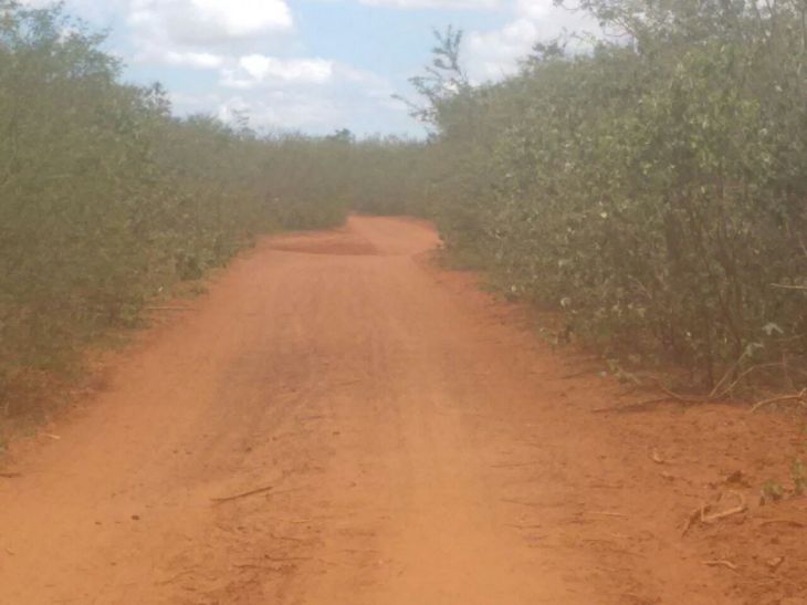 WhatsApp Image 2017-03-14 at 20.00.07