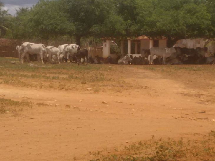 WhatsApp Image 2017-03-14 at 20.00.15