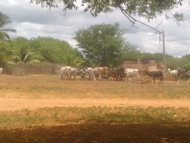 WhatsApp Image 2017-03-14 at 20.00.17