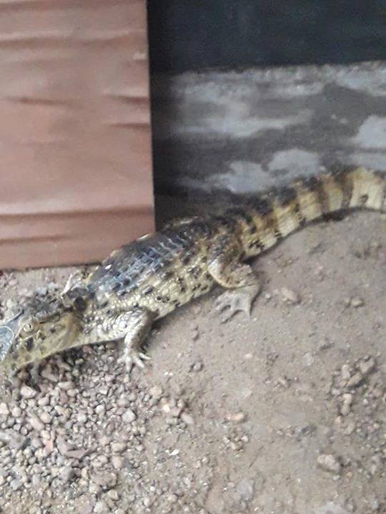 29597798_1891776577512886_5173438874014756678_n