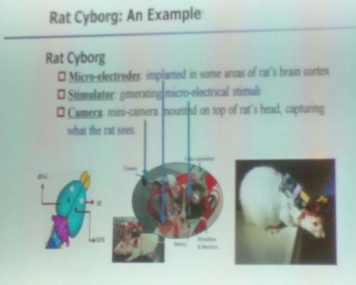 photo5051223643287300073