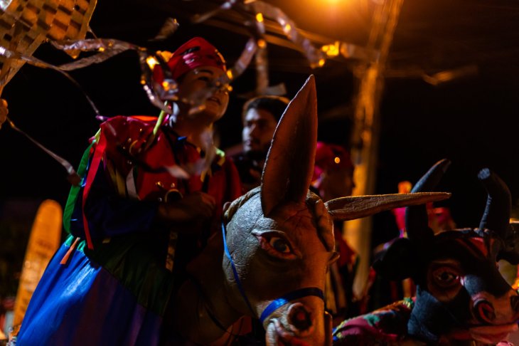 Boi de Reis, Burrinha e jaragua