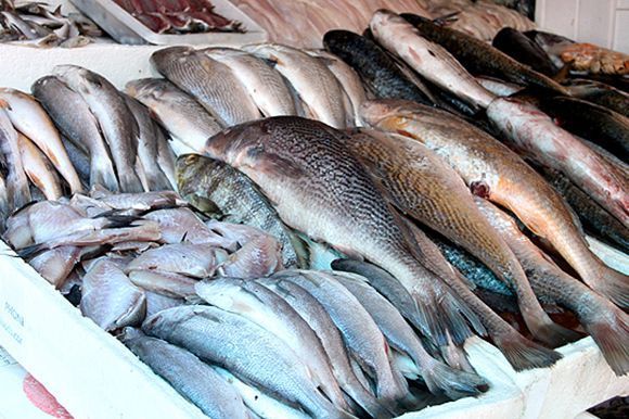 peixes